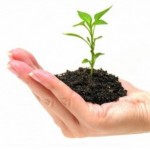 Growth_Incentives_of_the_Small_Business_Jobs_Act_2010-299x300