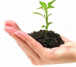 Growth_Incentives_of_the_Small_Business_Jobs_Act_2010-299x300